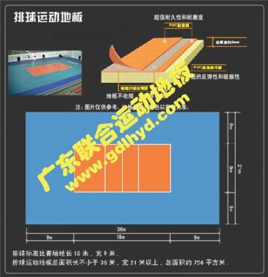 PVC运动地板 塑胶运动地板 运动地胶 排球场地板