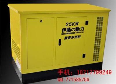 25KW汽油发电机 多燃料汽油发电机 环保燃气发电机
