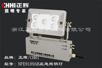 NFE9189AB 应急照明灯 LED应急照明灯 双应急方式照明灯