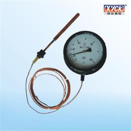 WTZ-280压力式温度计/电接点压力式温度计厂家