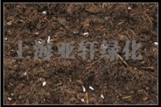 輕質營養土 屋頂花園 泥炭批發