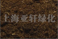 輕質土 屋頂綠化營養土 草炭土