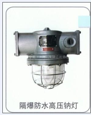 DGS70/127N 矿用隔爆型高压钠灯 矿用高压钠灯