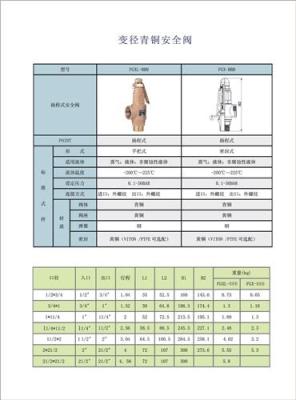 安全阀 上海博格森阀门