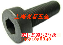 供应DIN7984德国标准产品 DIN7984bolts