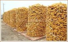 安平县宝圣鑫圈玉米网的厂家圈玉米网的价格圈玉米网的规