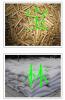 松木生物质颗粒燃料 生物质锅炉燃料