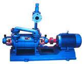 真空泵 博潜水电泵 SK电泵 2SK-P1水环真空泵