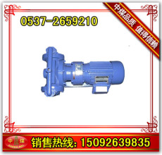 DBY电动隔膜泵 隔膜泵 电动隔膜泵