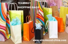 购物袋丽新布Stitchbond Shopping Bag