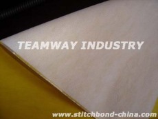涂层丽新布Laminated Stitchbond Fabric
