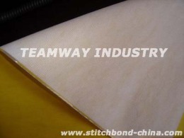 涂層麗新布Laminated Stitchbond Fabric