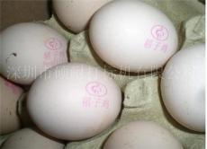 鸡蛋喷码机 大蒜喷码机 深圳硕耐供应GL300