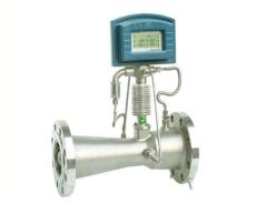 旋進旋渦流量計 -適用于干飽和蒸汽或過熱蒸汽的測量