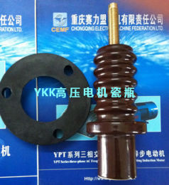 湘潭电机赛力盟电机YKK YRKK高压接线瓷瓶套