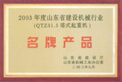 31.5塔吊 山东31.5塔吊 31.5塔吊好厂家