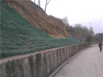 生态袋护坡工程案例----曹雪芹公园