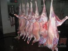 上海羊肚2309 澳大利亚25000元/吨上海报价