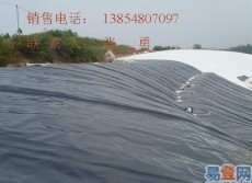 潍坊青岛车库排水板厂家 排水板价格 - 泰安