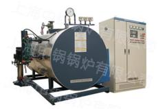 供应0.5吨电蒸汽锅炉 化工成套设备配套用 节能型