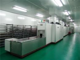 平面输送UV光固化机 低温UV炉 网带式UV生产线
