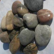 园林鹅卵石 变压器鹅卵石 天然鹅卵石