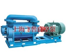 上海2SK型水环式真空泵-www.021vp.com