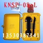 声光报警电话 声光电话 抗噪扩音电话KNSP-08-L
