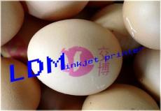 上海典码LDM鸡蛋专用实体型喷码机