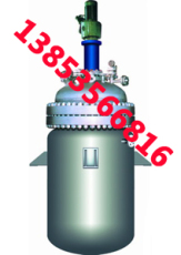 磁力反應釜結構圖/電加熱反應釜/混合機設備供應