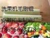 现货批发食品水果打蜡毛刷及毛刷辊玻璃清洗毛刷