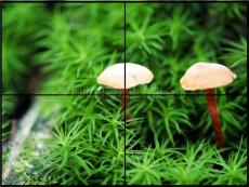延安LG42寸液晶拼接墙厂家 成都酒吧液晶拼接墙