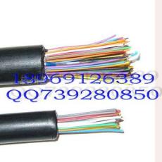 通信电缆 通讯电缆报价 HYA通信电缆 杭州通信电缆