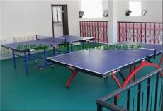 环保乒乓球地板乒乓球专用地板优质乒乓球地板乒乓球地板