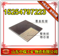PVC PVG整芯阻燃輸送帶