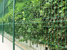 低碳钢丝小区围栏/防护围栏/D-型柱围栏/双边丝围栏