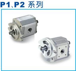 P102RP01GT齿轮泵