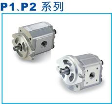 P127RP01GT齿轮泵