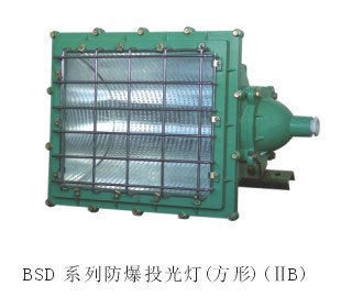 BSD系列防爆投光灯 圆形 方形 IIC