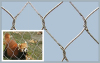 动物园安全防护网 不锈钢绳网