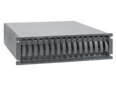 IBM DS4700 控制器
