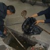 北京门头沟抽化粪池公司