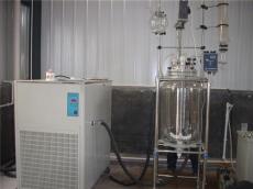 低温冷却液循环泵-低温循环泵-低温泵DLSB系列