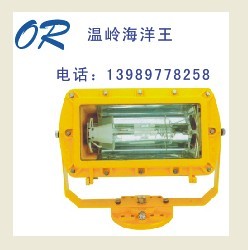 BFC8100 防爆外场强光 泛光灯