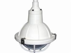 防水防尘灯-FAD-S防水防尘防腐全塑灯-增安型防水防尘灯