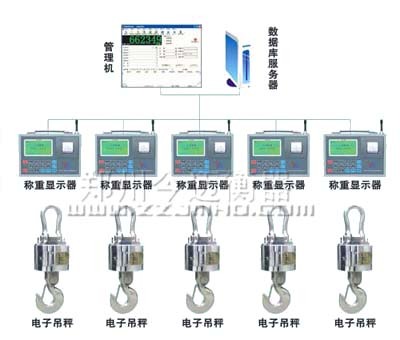 自动称重管理系统 自动称重管理系统
