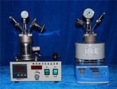 不锈钢微型磁力高压反应釜-50ML-高压消解罐