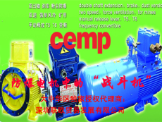 供应CEMP温升等级T5 T6防爆电机