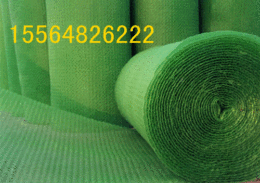 信阳三维植被网专业厂家 许昌三维土工网垫价格