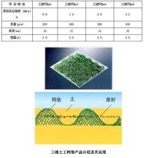 安庆三维土工网垫价格/ /三维植被网厂家